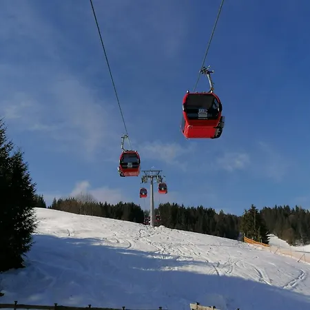 Apartment Ferienwohnung in Itter bei Ellmau SkiWelt Wilder Kaiser Kitzbüheler Alpen ITD100 by FeWo-Plan