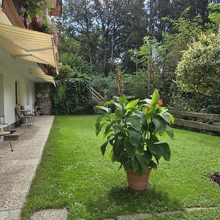 Naehe Bergdoktor Drehorte Kitzbueheler Alpen Itd100 By Fewo-plan